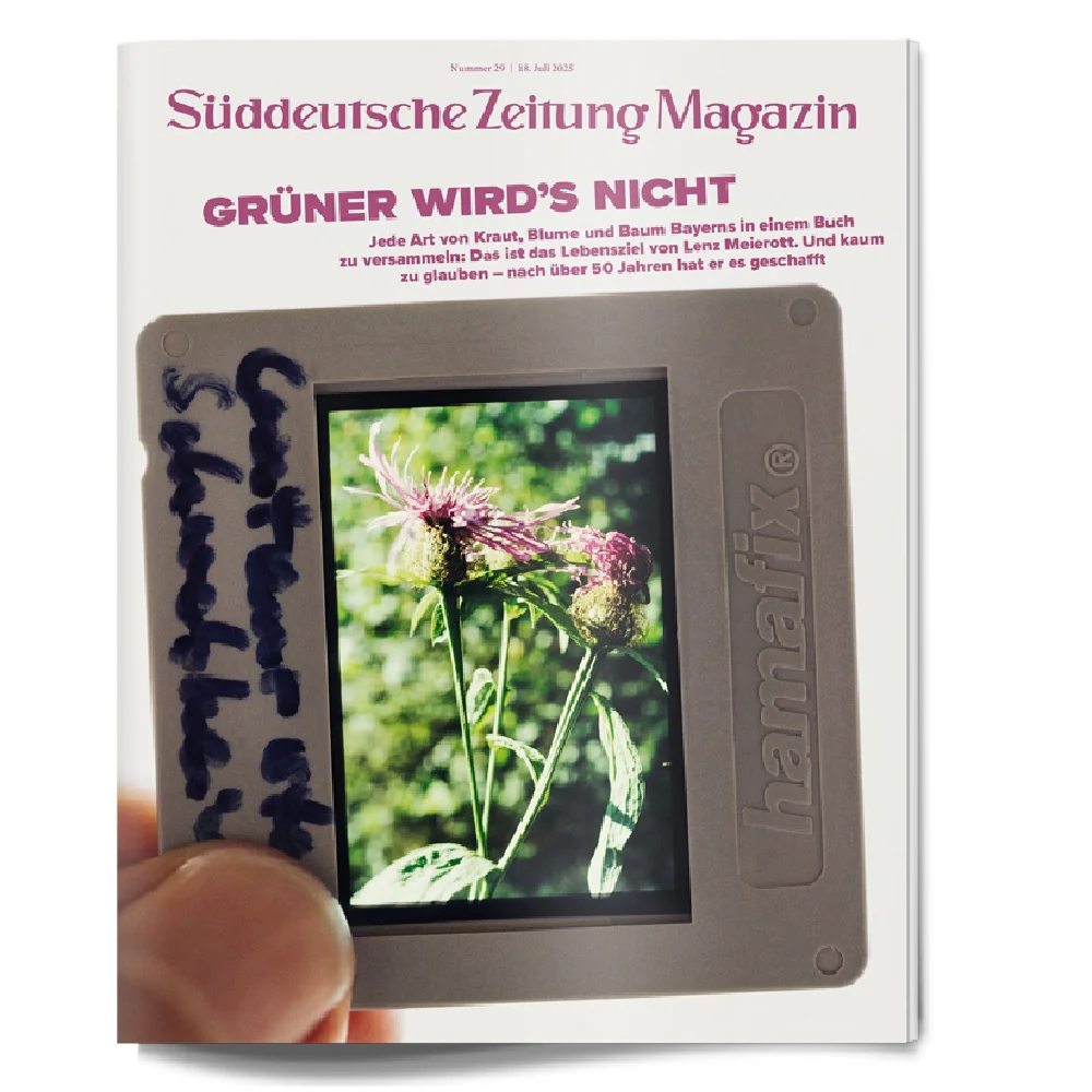 Vorschaubild 1